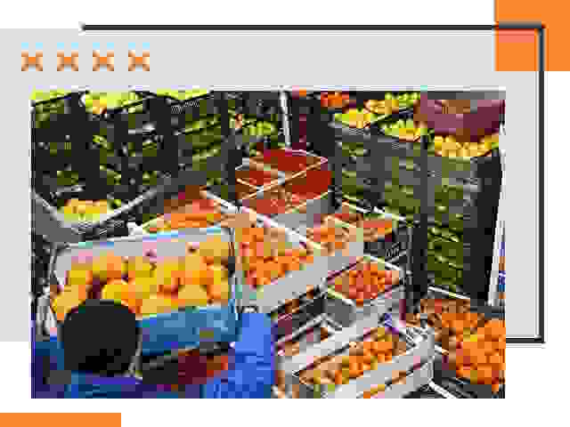 Перевозка скоропортящихся продуктов в Барабинске